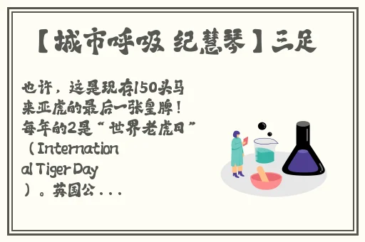 国产精品**站大全